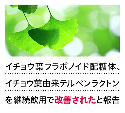 �v���o�̏���