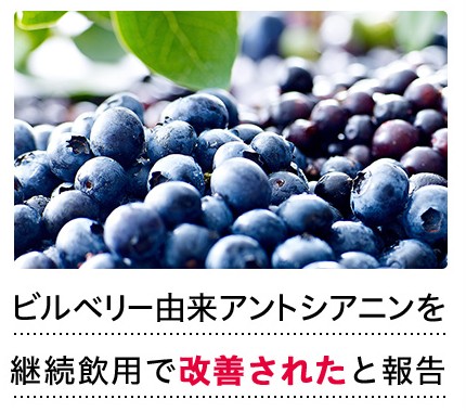 �v���o�̏���