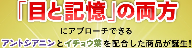 �v���o�̏������T�C�g